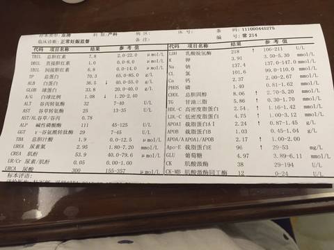 journal_insert_pic_576679659