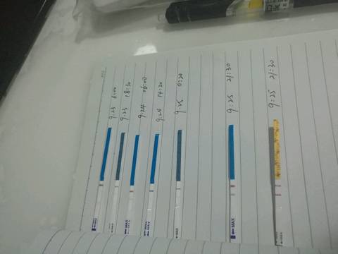 journal_insert_pic_577710149