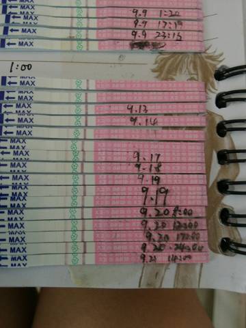 journal_insert_pic_577710167