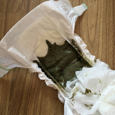 拉屎绿色 宝宝树