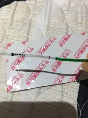 journal_insert_pic_577794610