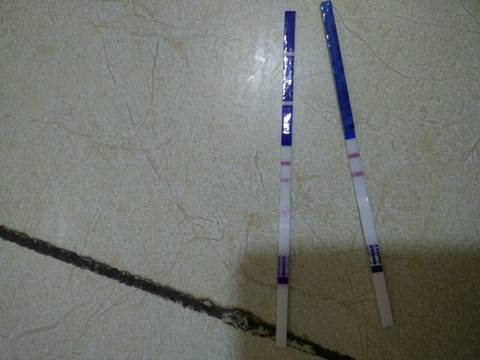 journal_insert_pic_578212065