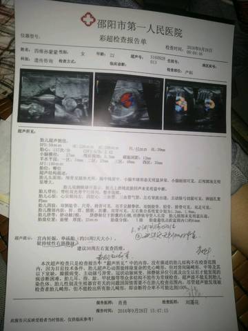 journal_insert_pic_579460278