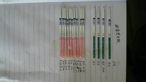 journal_insert_pic_579588263