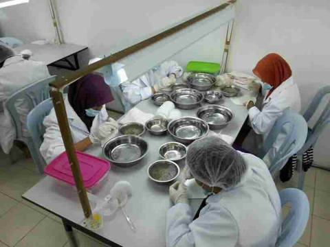 journal_insert_pic_579494751