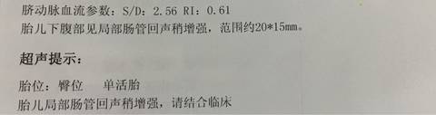 journal_insert_pic_580053415