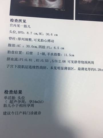 journal_insert_pic_580460654