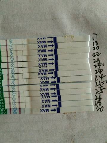 journal_insert_pic_580443346