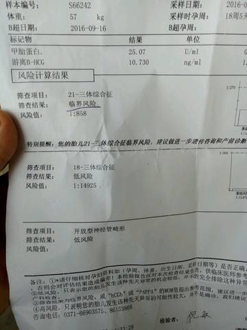 journal_insert_pic_580701824