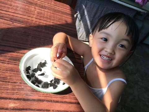 journal_insert_pic_581108539