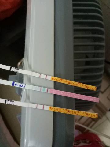 journal_insert_pic_581607698
