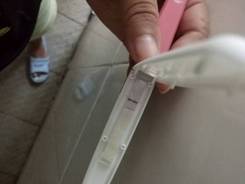 journal_insert_pic_582332067