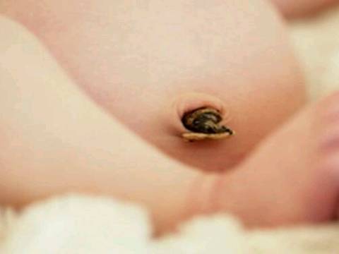 journal_insert_pic_582653640