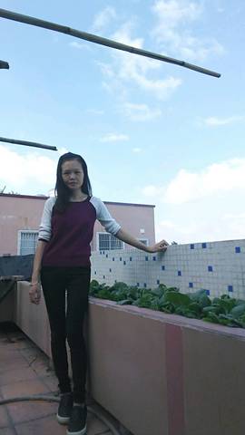 journal_insert_pic_582555260
