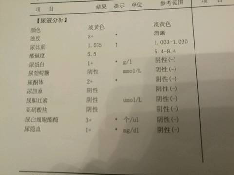 journal_insert_pic_583375730