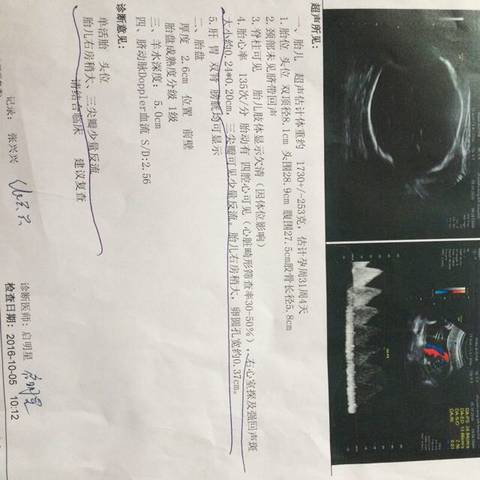 journal_insert_pic_583734554