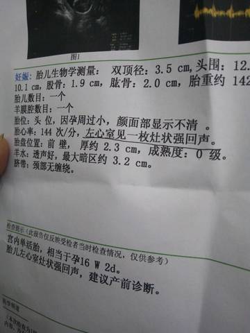 journal_insert_pic_585326663