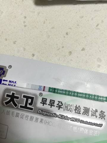 journal_insert_pic_585410347