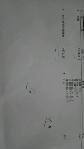 journal_insert_pic_585914212
