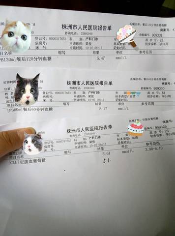 journal_insert_pic_585760340