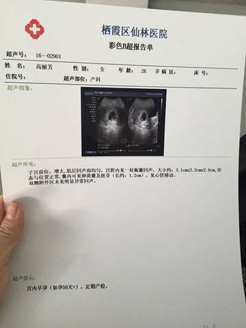 journal_insert_pic_586335210