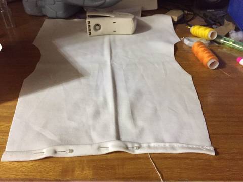 journal_insert_pic_586733280