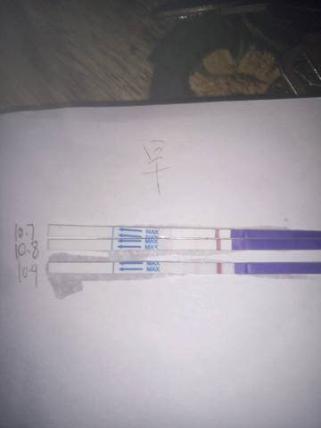 journal_insert_pic_586277225