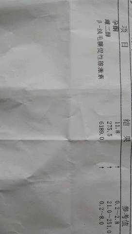 journal_insert_pic_586556001