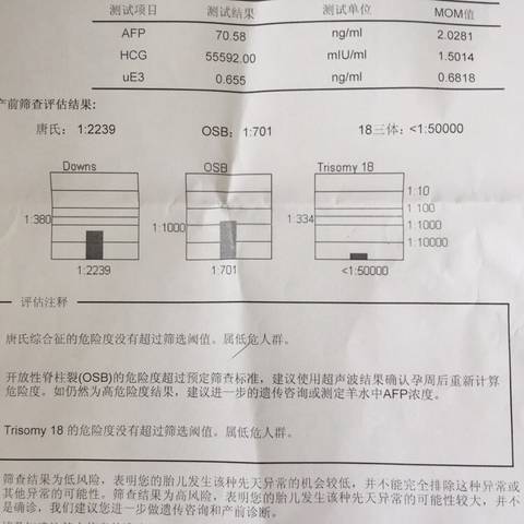 journal_insert_pic_586982724