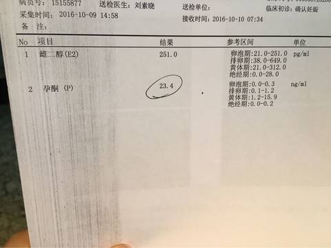journal_insert_pic_587812918