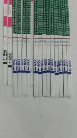 journal_insert_pic_588349618