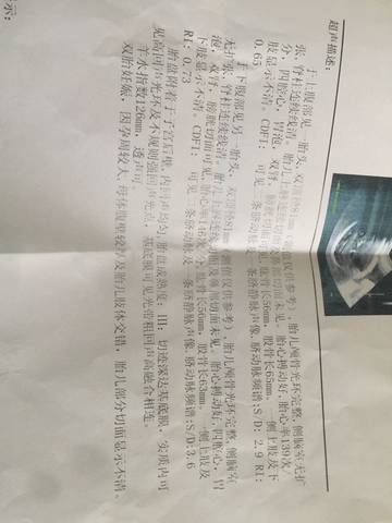 journal_insert_pic_588301718