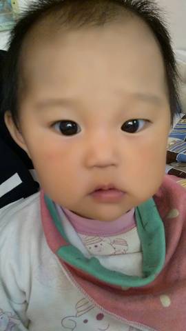 journal_insert_pic_588528523