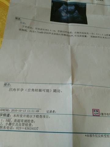 journal_insert_pic_588981268