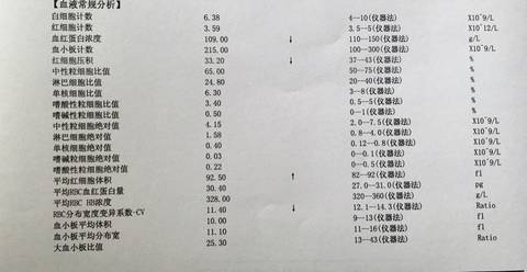 journal_insert_pic_589091405