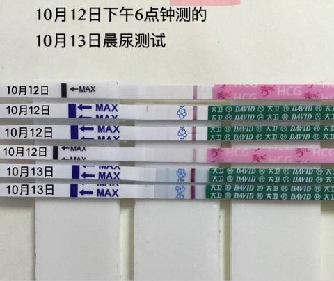 journal_insert_pic_589016430