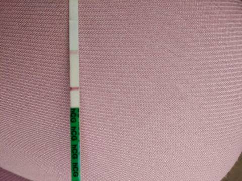 journal_insert_pic_589552161