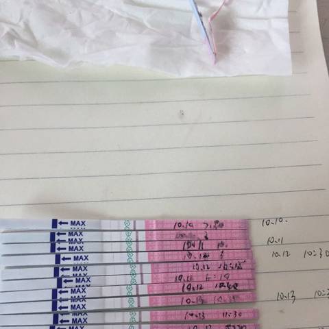 journal_insert_pic_589753030