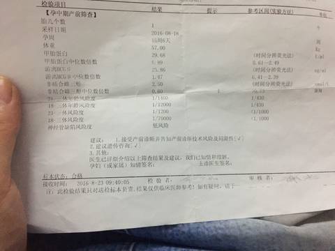 journal_insert_pic_589925928