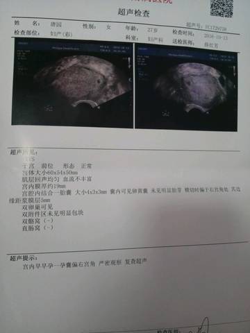 journal_insert_pic_590404318