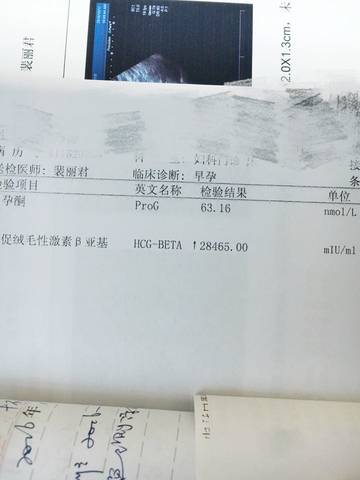 journal_insert_pic_591709295