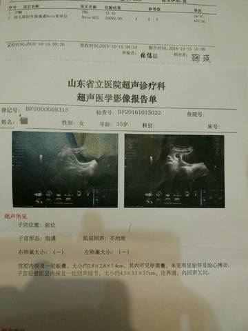 journal_insert_pic_591809074