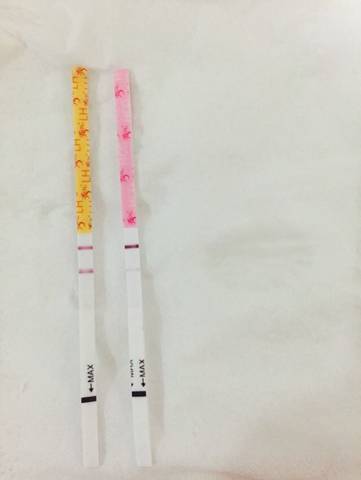 journal_insert_pic_592489889