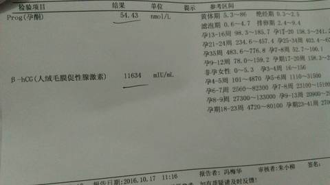 journal_insert_pic_592018060