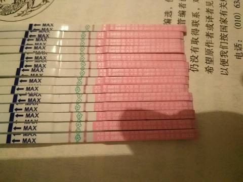 journal_insert_pic_593146699