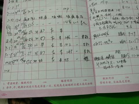 journal_insert_pic_594467218