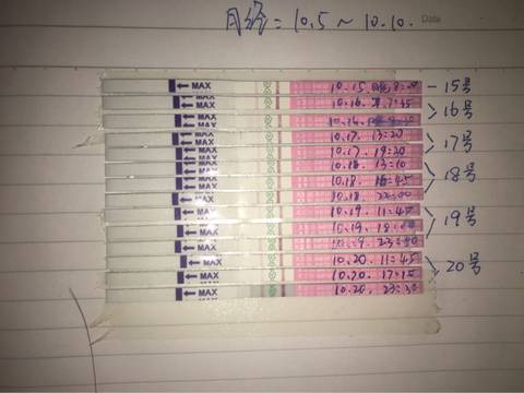 journal_insert_pic_593985355