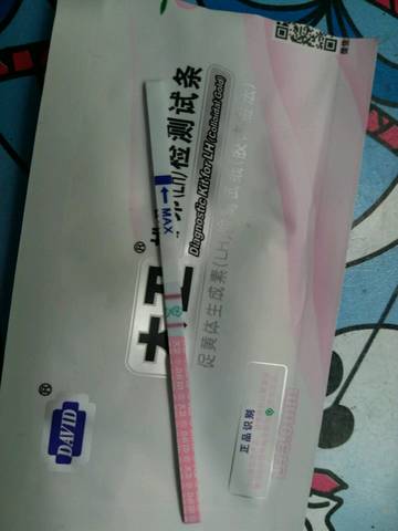 journal_insert_pic_594320347