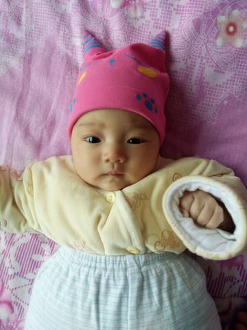 journal_insert_pic_594763808