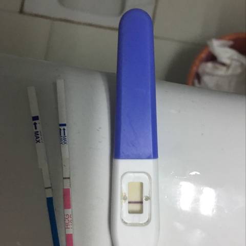 journal_insert_pic_595875657